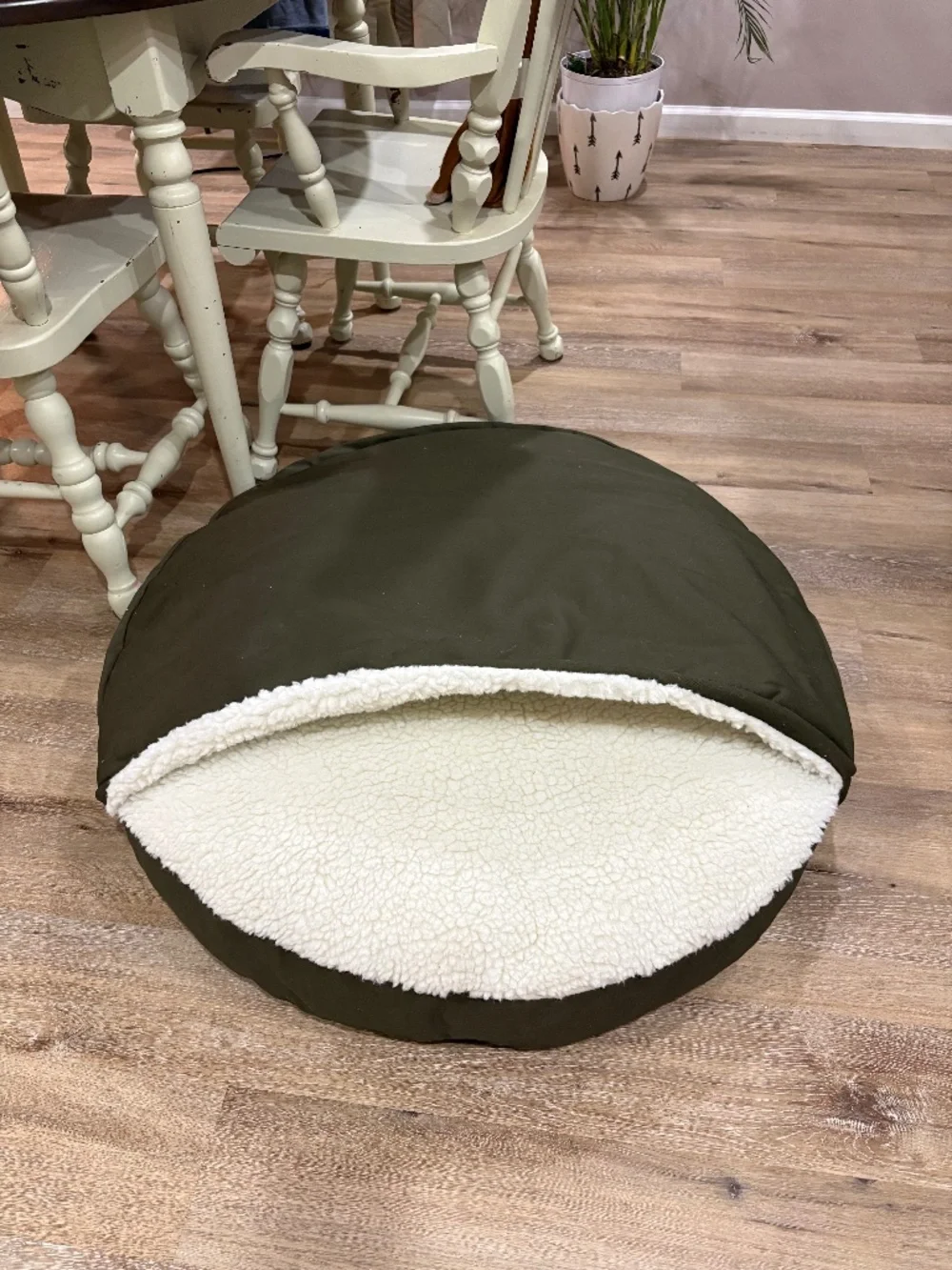 Snoozer Cozy Cave dog bed - Picture 1 of 4